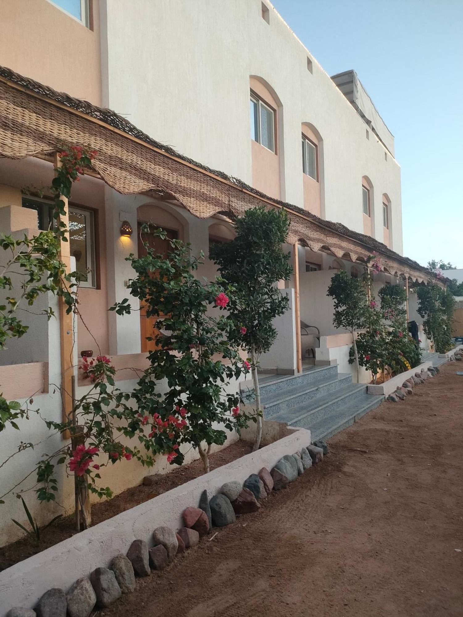 Al Deira Dahab Hotel Esterno foto